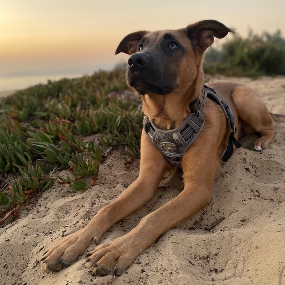 πΌπππ ππππ πΏπππππ π»ββΌβ³ - Picture 9 of 10